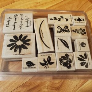 Stampin' Up! Watercolor Garden